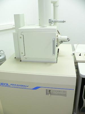 Растровый электронный микроскоп JEOL JSM-6490 LV