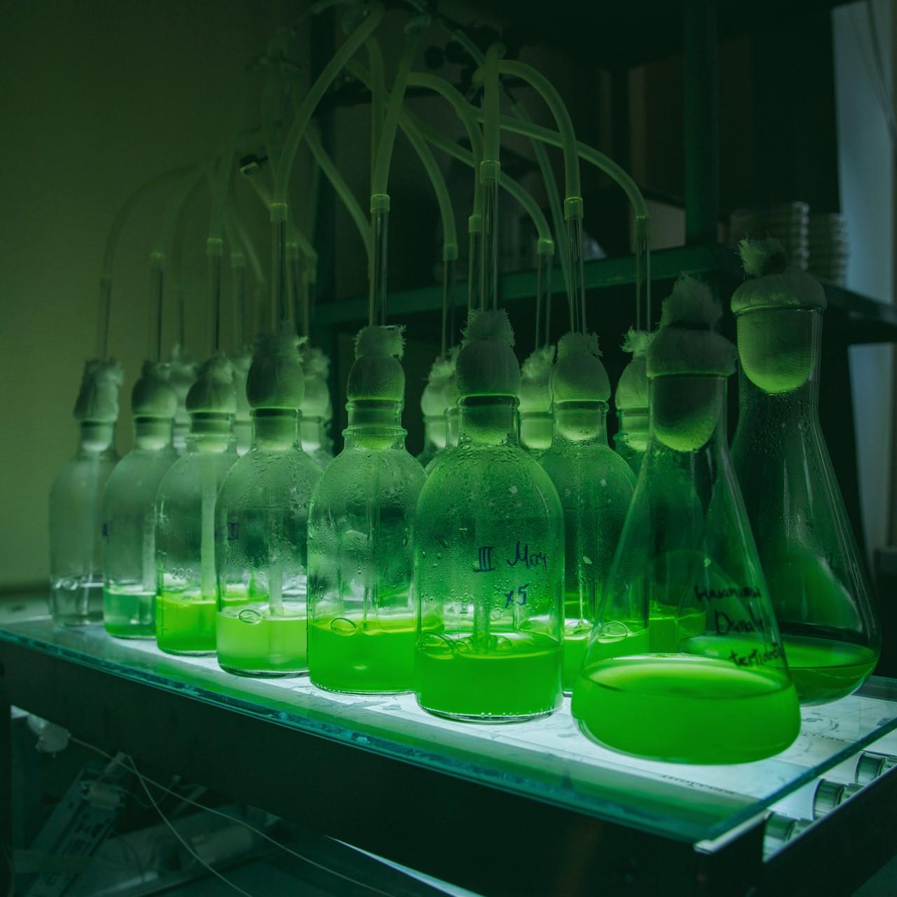 Лаборатория биолюминесцентных биотехнологий